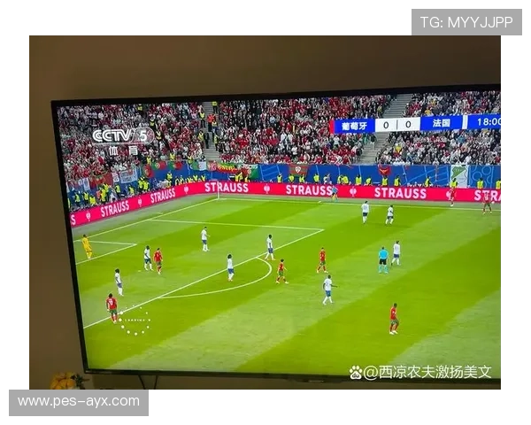 《欧洲杯纪录片》揭秘豪门荣耀与绿茵传奇